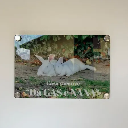 Da Gas E Nana Appartamento Peseggia