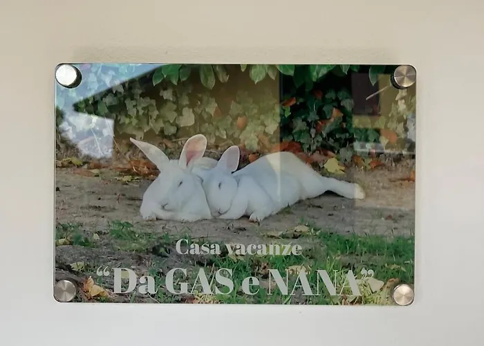 Da Gas E Nana Apartment Peseggia
